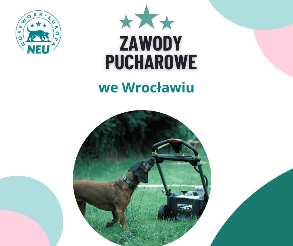 Zawody Pucharowe we Wroc\u0142awiu