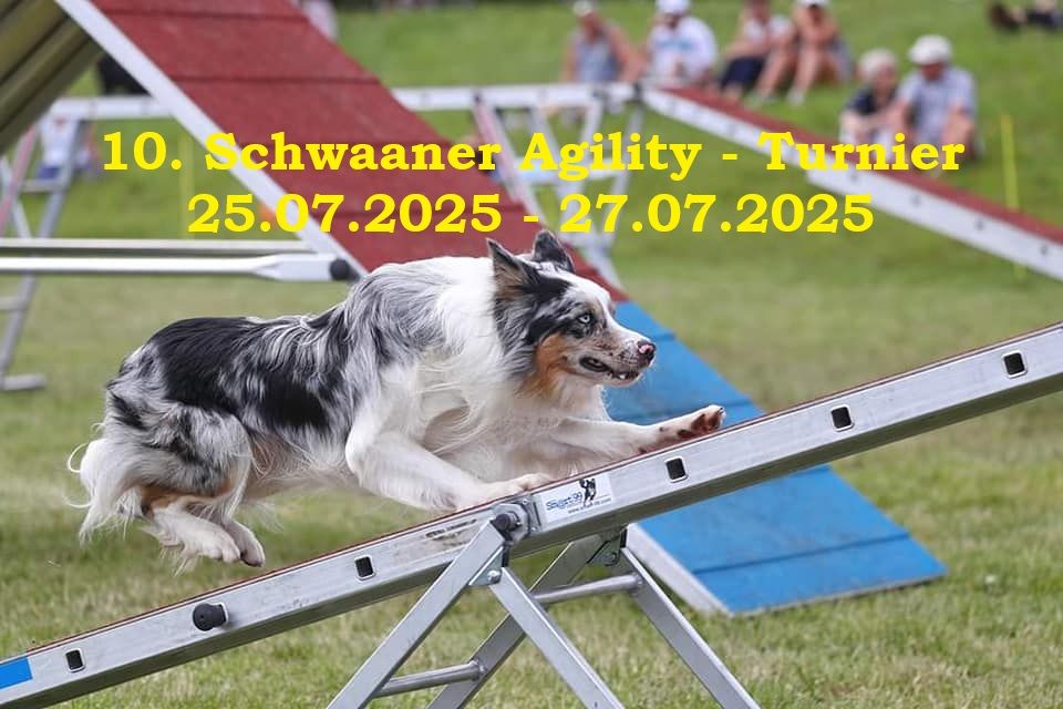 10. Schwaaner Agility Turnier - Samstag Lauf zur Vereinsmeisterschaft MV