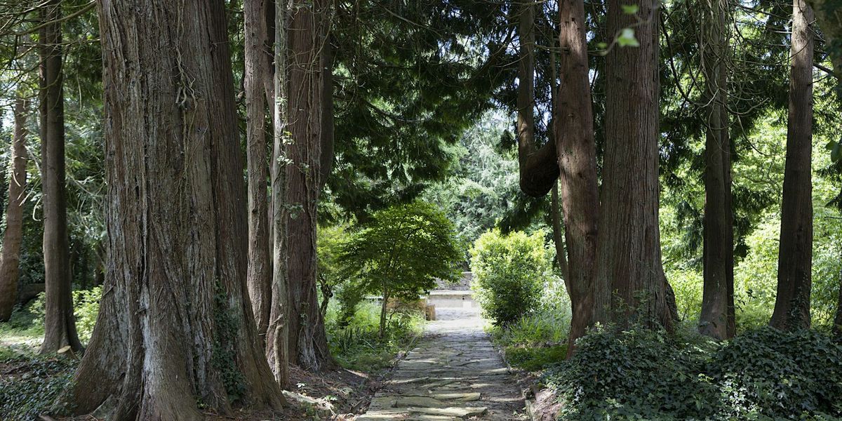 Guided Tree Tour of The Italian Garden