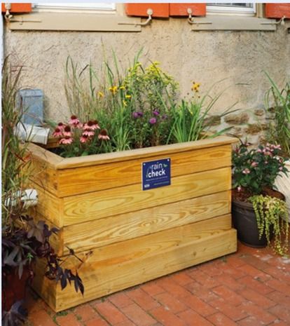 Sustainability at Home: Raining to Saving with Rain Planters