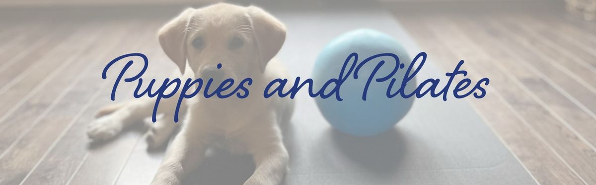 Puppies and Pilates Fundraiser Class