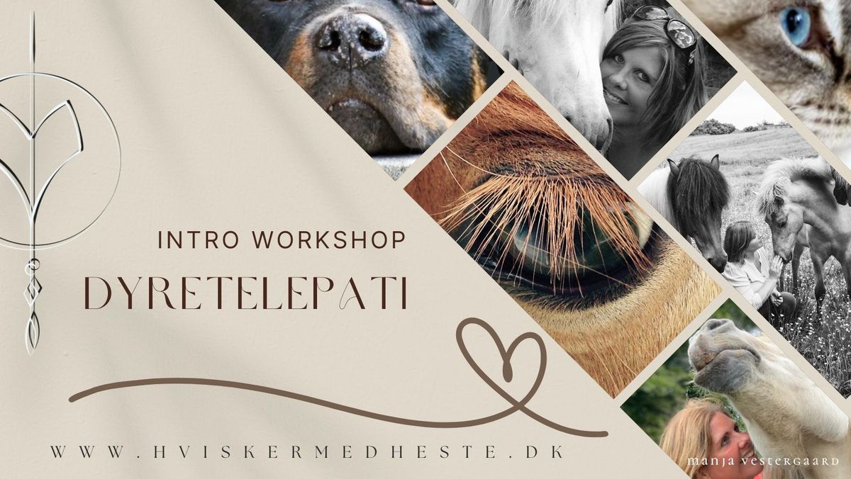 Dyretelepati intro workshop  - Terndrup