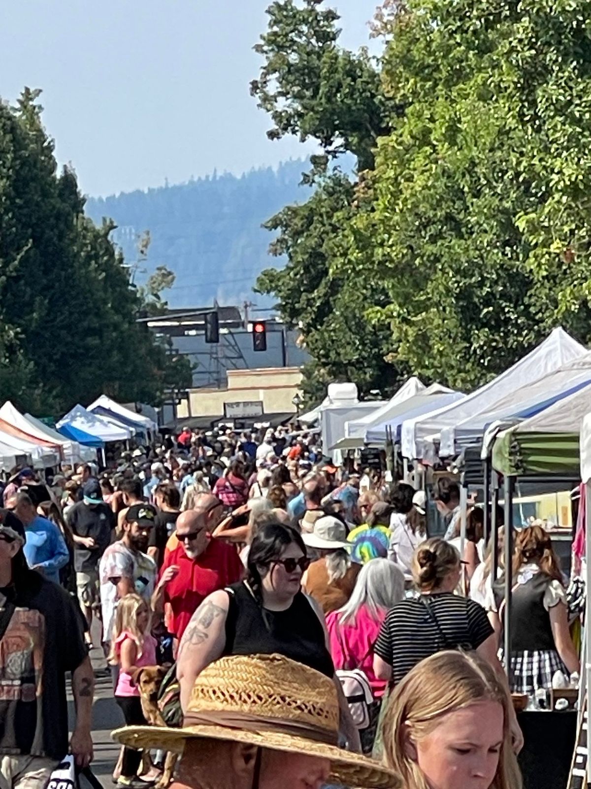 27th Annual Oregon City Antique Fair