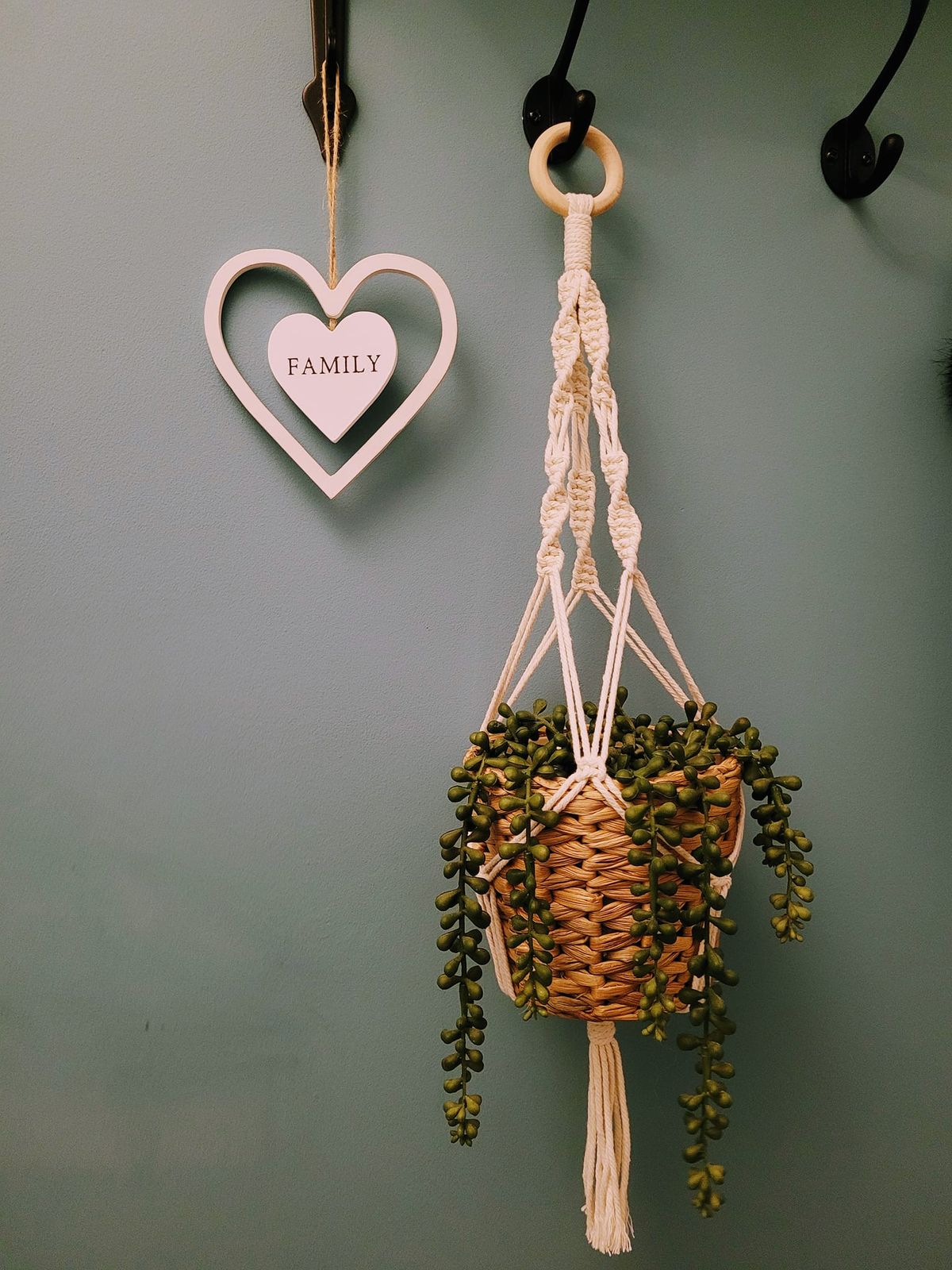 Macrame Plant Hanger