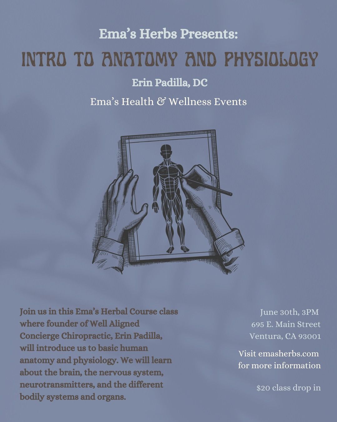 An Introduction to Anatomy & Physiology with Erin Padilla, DC