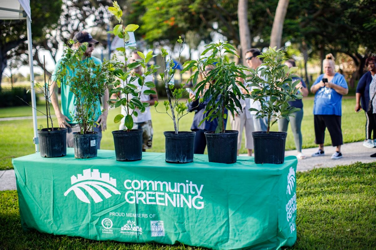 Boynton Beach Tree Giveaway