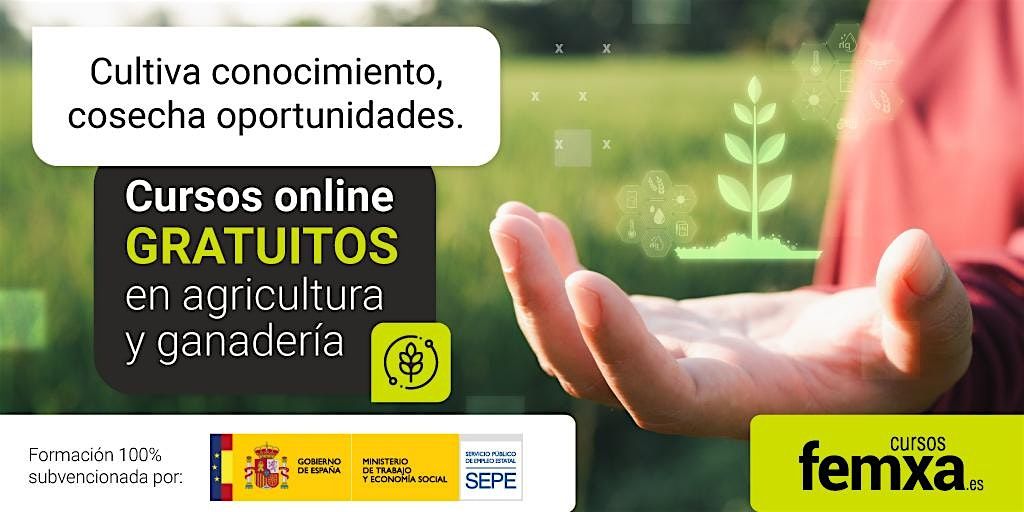 Curso GRATUITO:  sistema APPCC y pr\u00e1cticas correctas de higiene