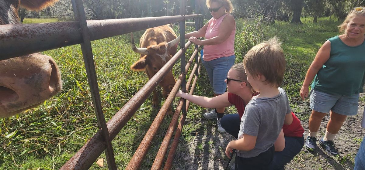 Family Camping Adventure at Crowley