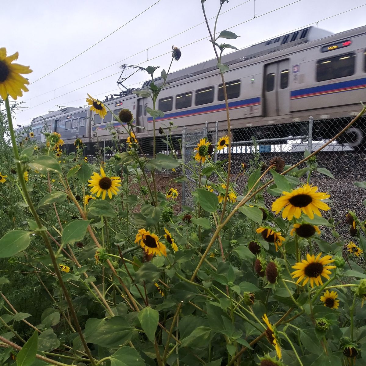 Railfan Meet up.