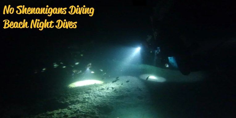 Night Dive