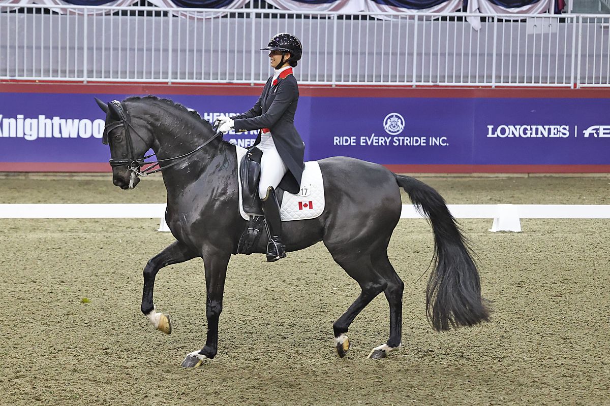 Knightwood Derby Championship  & CDI 3*-W Dressage Freestyle