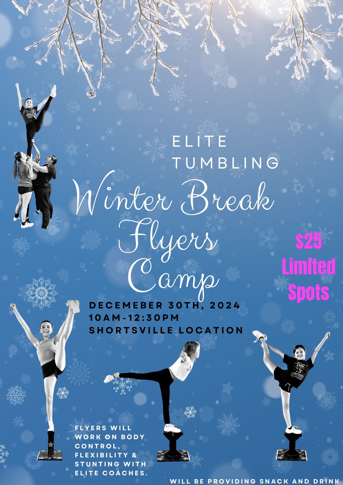 Winter Break Flyers Camp