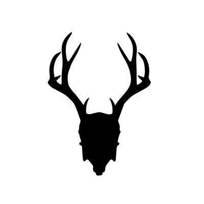 Mad Rabbit Studios