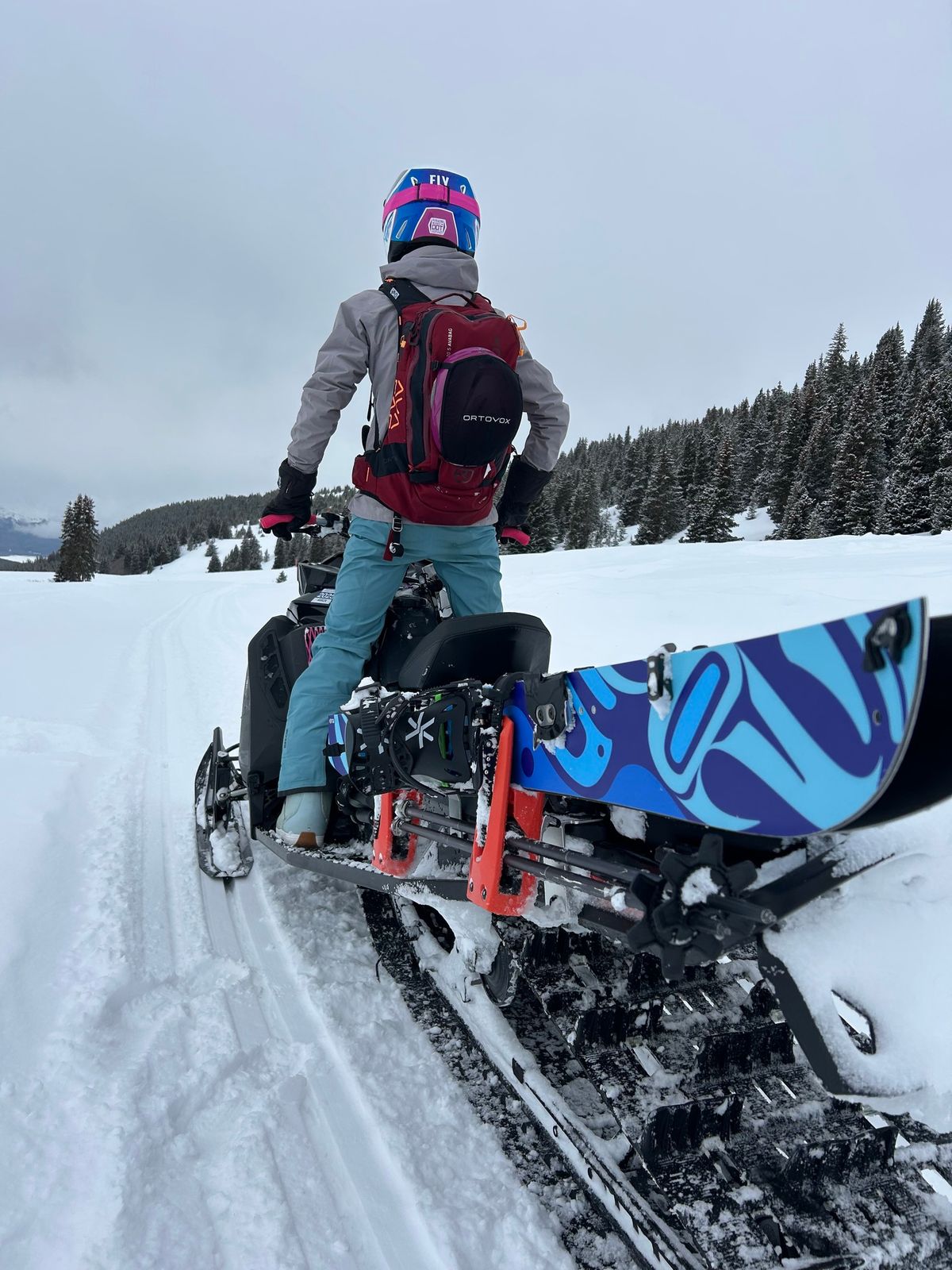 AIARE 1 Sled-Access 