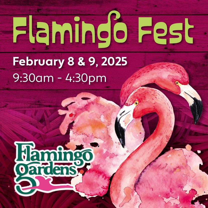 Flamingo Fest