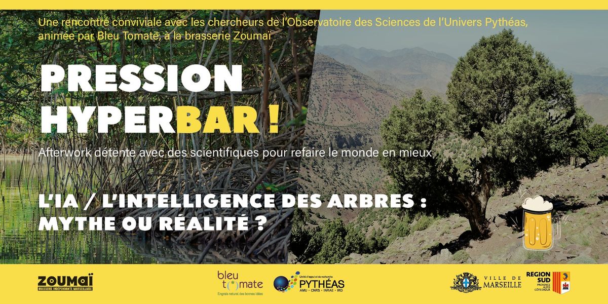 PRESSION HYPERBAR ! L\u2019IA \/ L\u2019Intelligence des Arbres : mythe ou r\u00e9alit\u00e9 ?