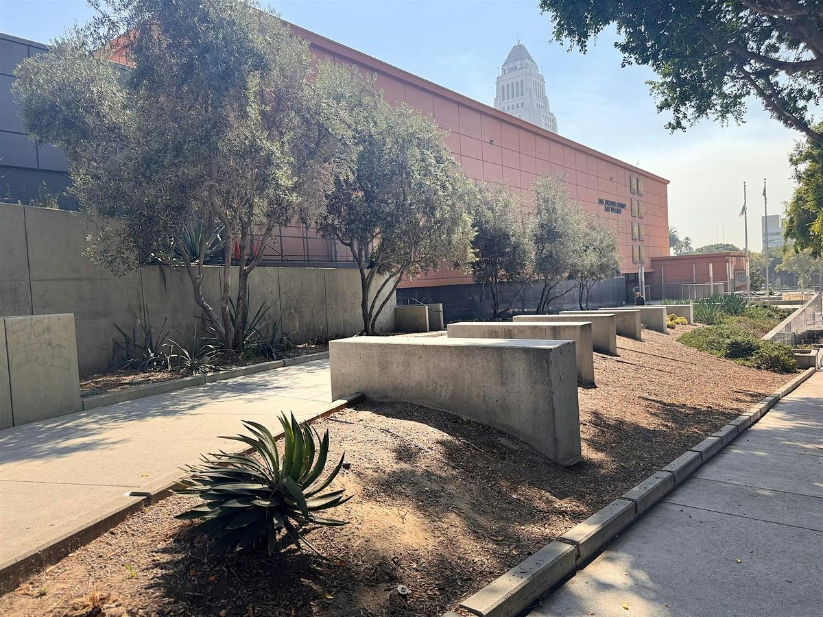 LIVE ZOOM: Ask a Lawyer: Landlord-Tenant Law and Evictions