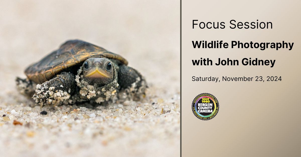 Wildlife Photography with John Gidney - Focus Session