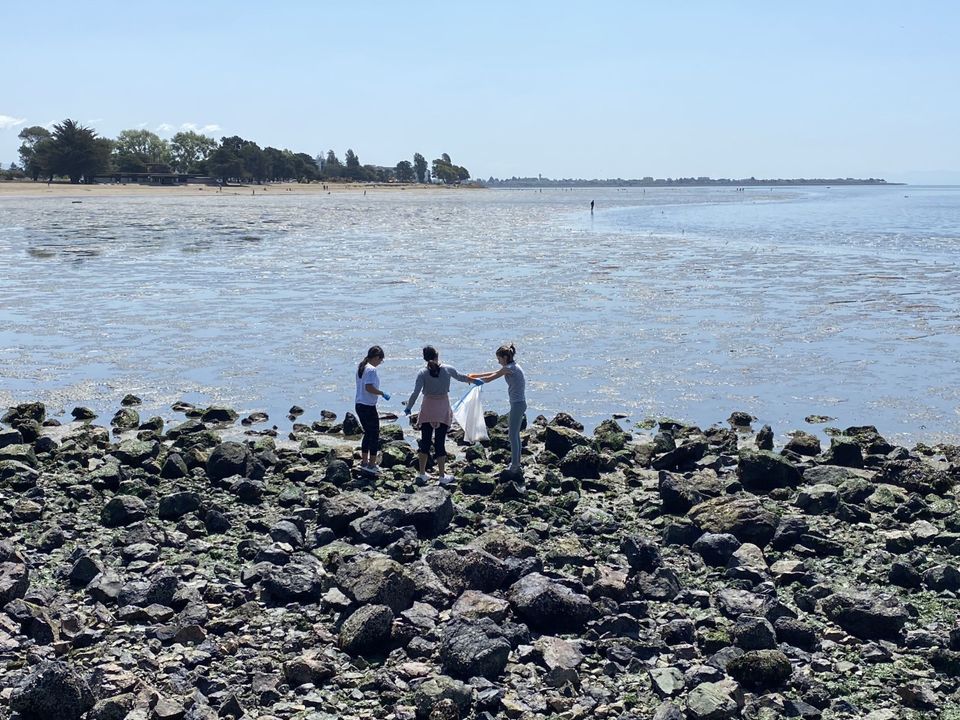 Alameda Earth Day: Coastal Clean-Up, Crab Cove Visitor Center, Alameda, 22 April 2023