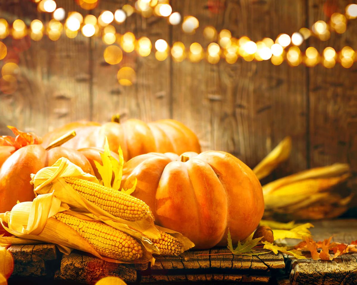 Harvest Festival