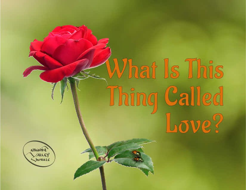 February Performances - "What Is This Thing Called Love" Saturday