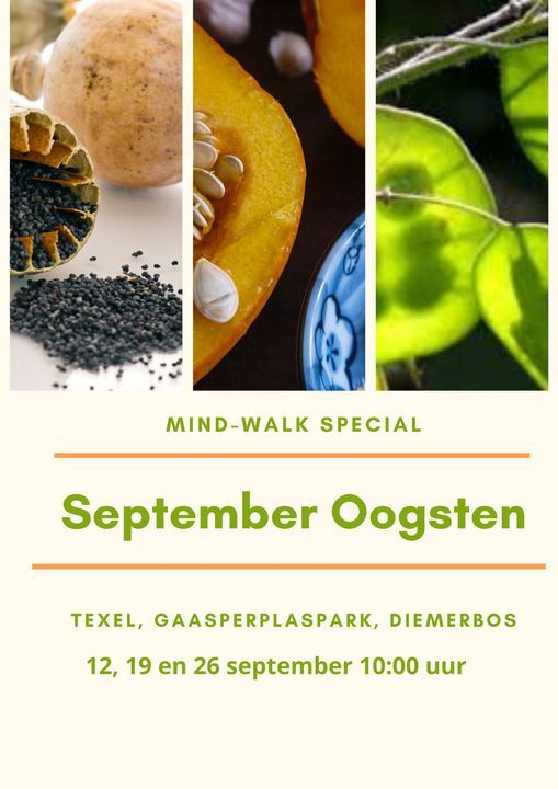 September Oogst Mind-Walk Special