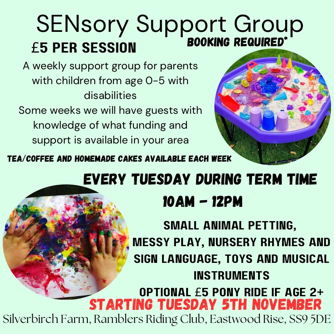 SENsory Support Group