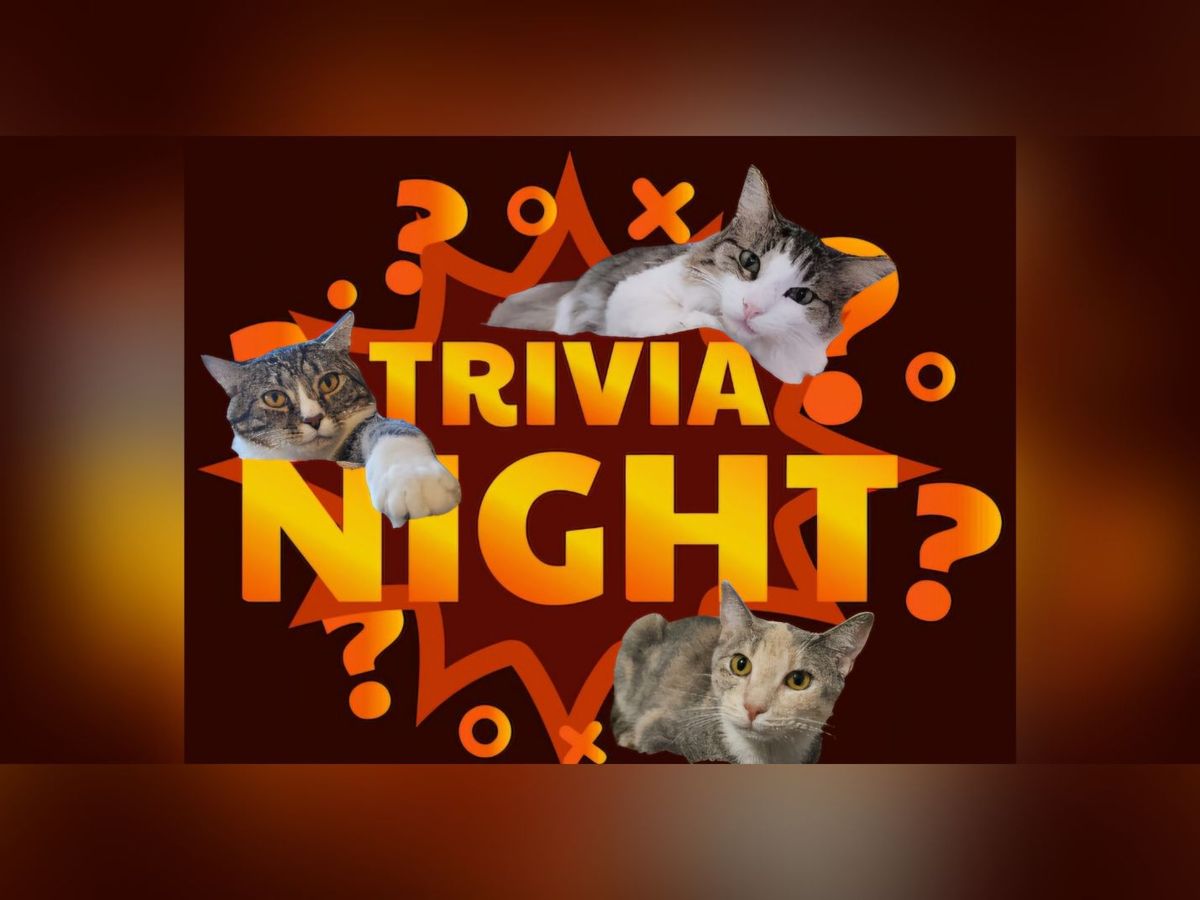 Trivia Night - benefits Bingo's Cat Shelter