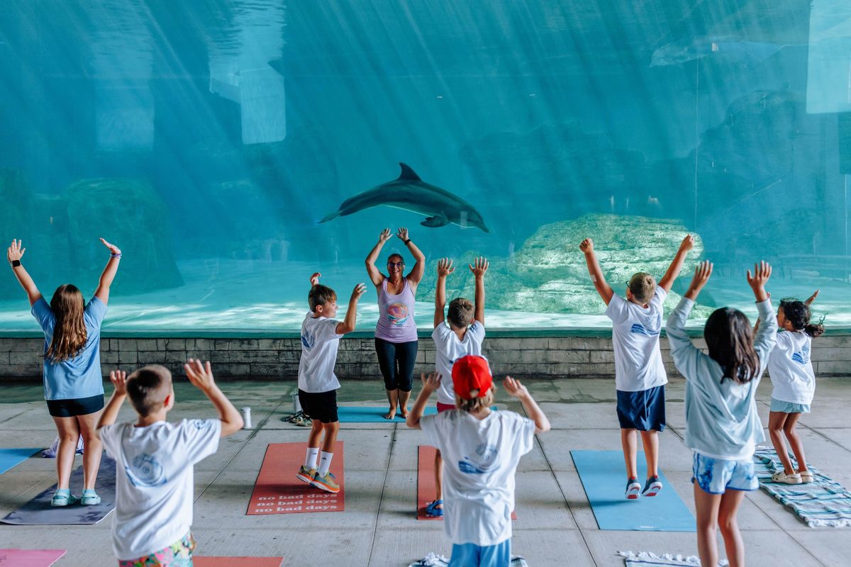 Dolphin Family and Kids Yoga