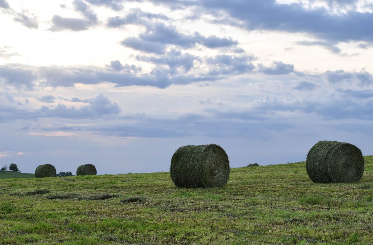 Midwest Rural Agricultural Safety and Health Conference