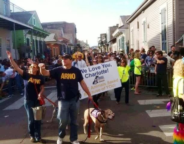 Volunteering for ARNO as a Parade marshall at Barkus