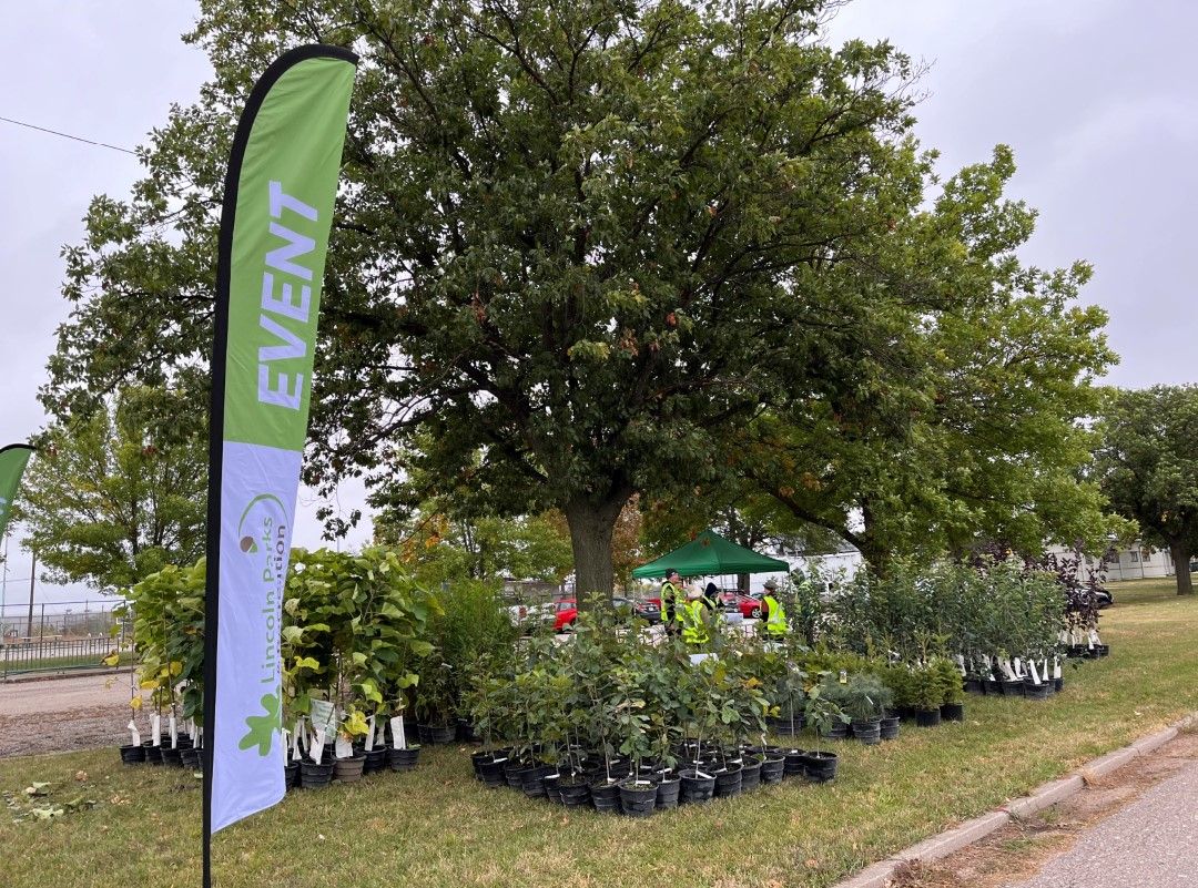 Tree Giveaway at Pioneers Park Nature Center Wild Fall Festival