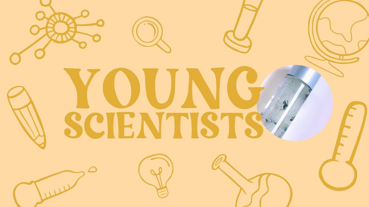 Young Scientists: Jumping Spider Bottles