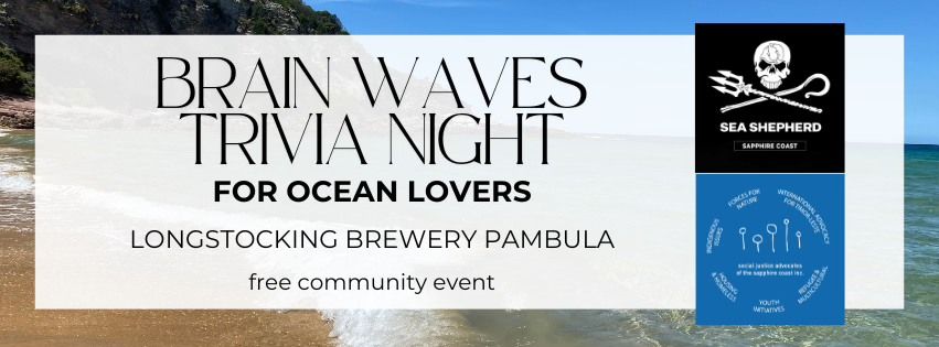 Brain Waves - Trivia Night for Ocean Lovers