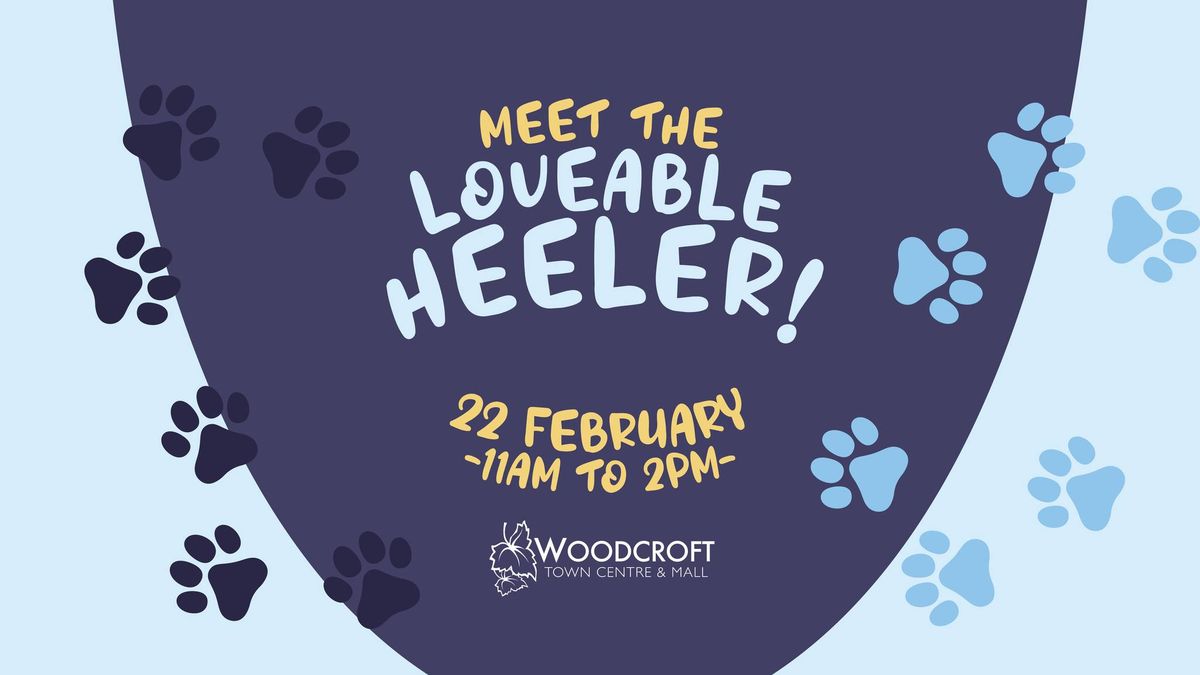 Meet the loveable heeler!