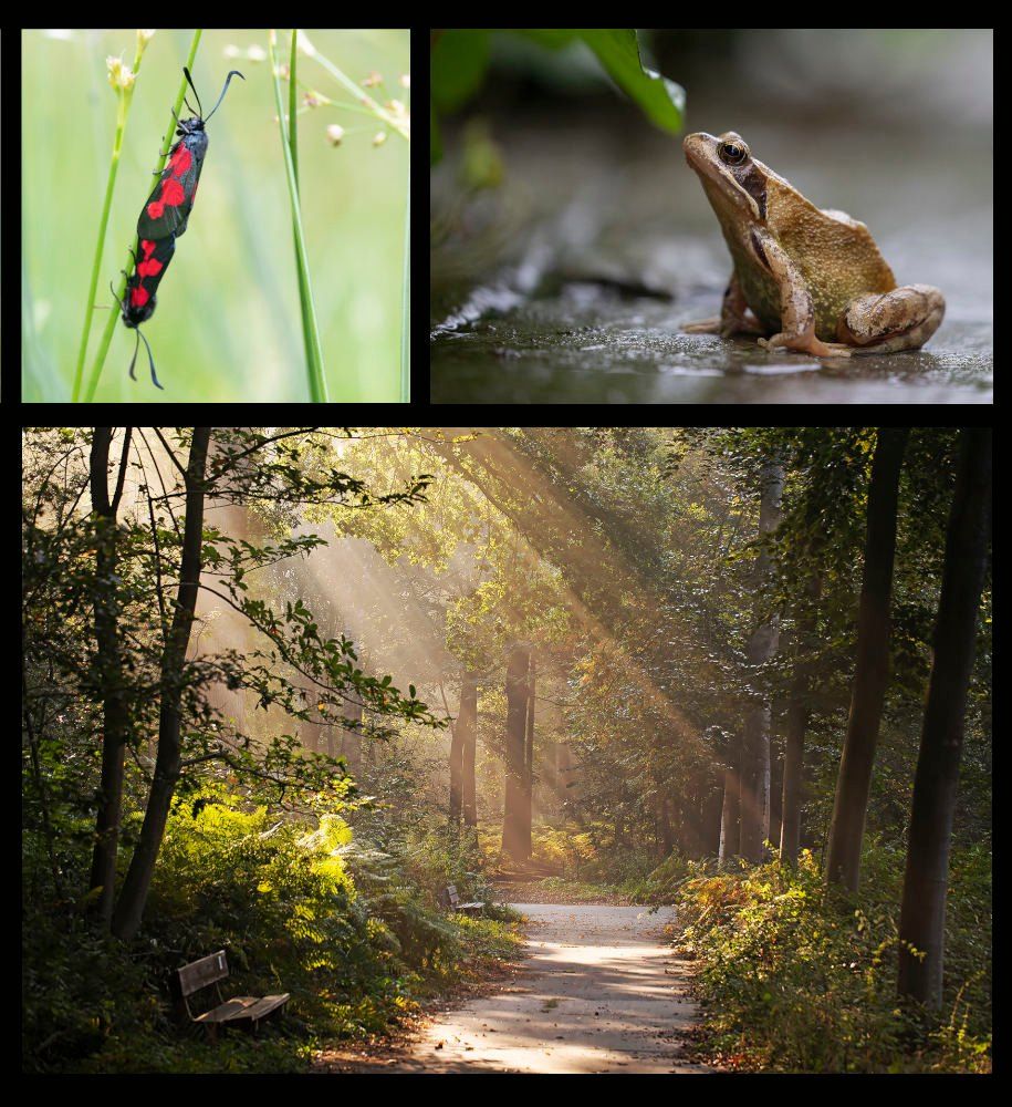 Cursus natuurfotografie voor beginners