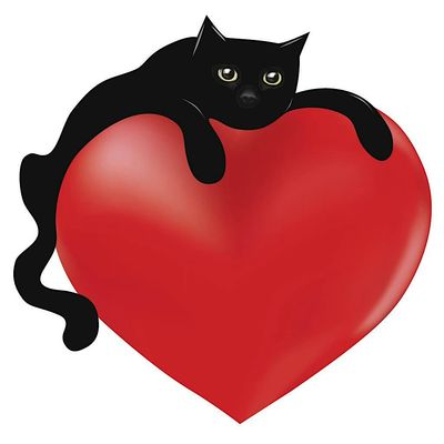 Love Me True Rescue