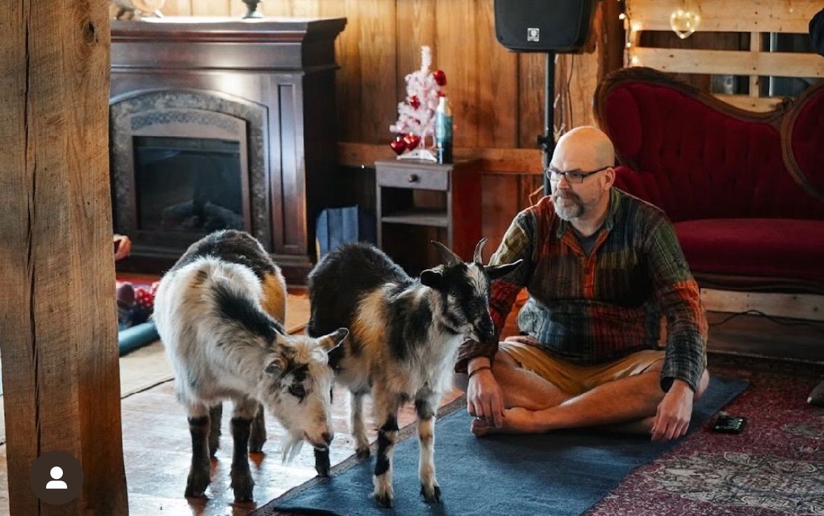 Goat Yoga (second session) 