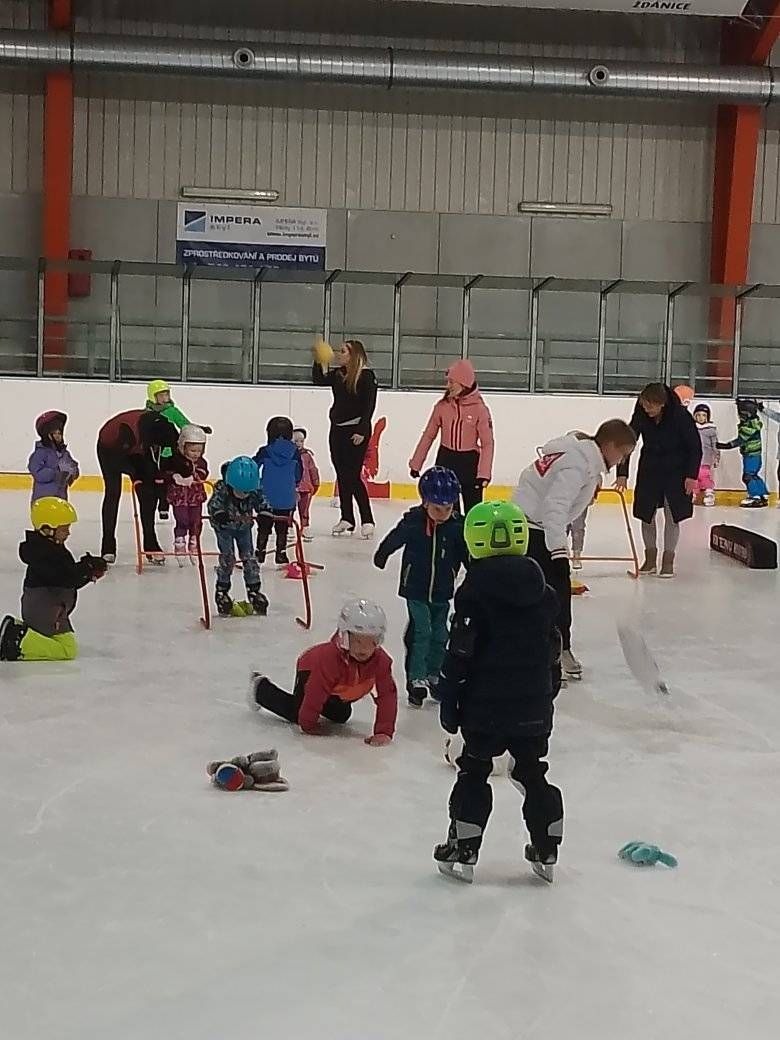 Parenting meetup: ice skating public lesson at indoor ice skate rink