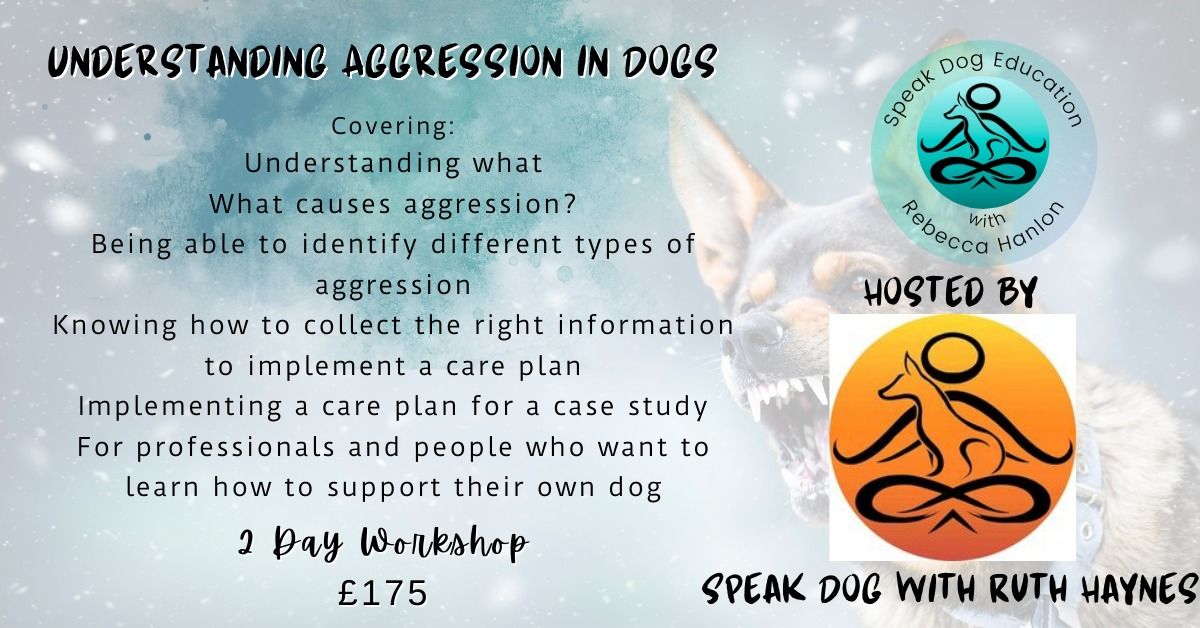 Understanding Aggression in Dogs