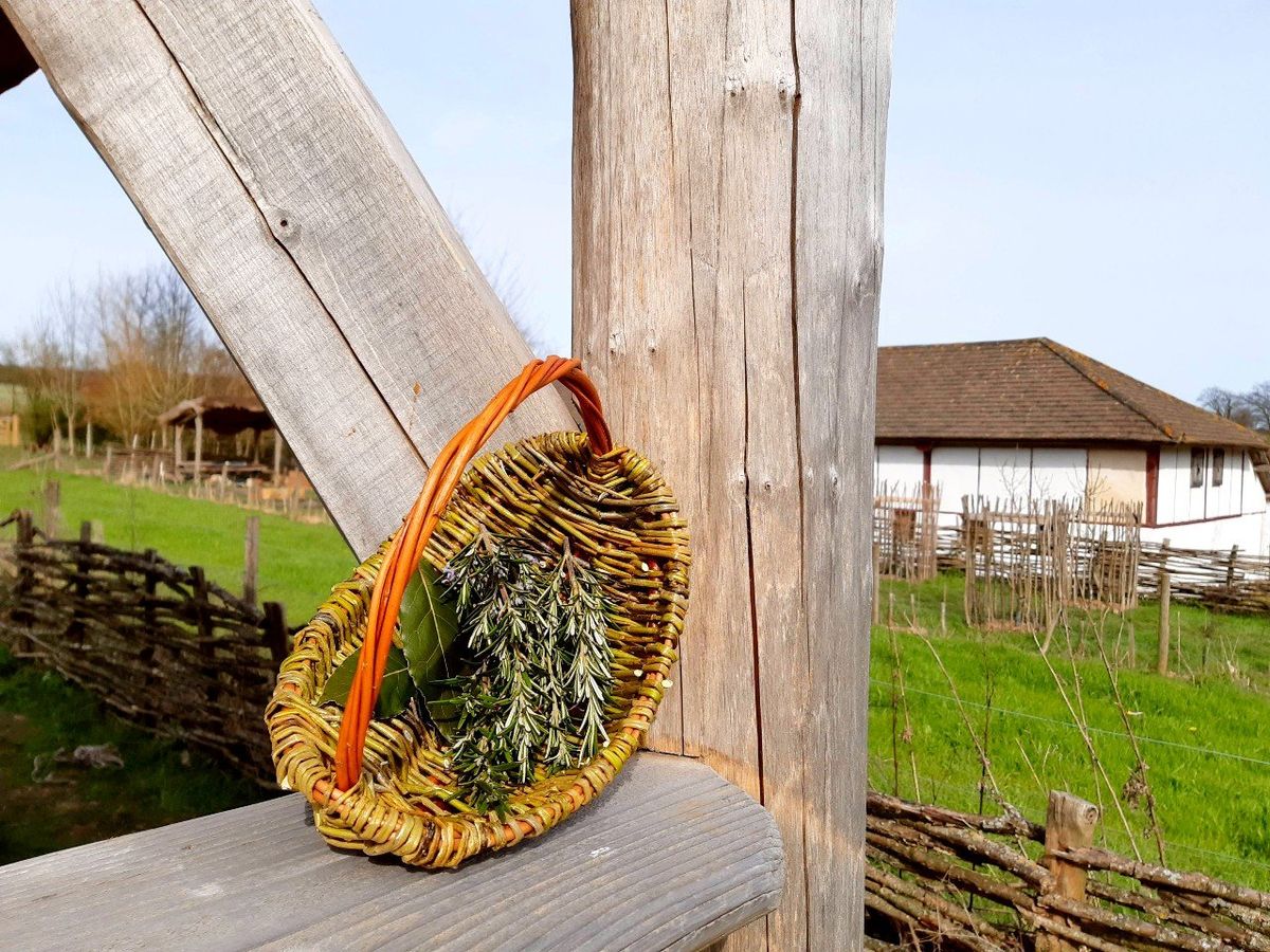 Hedgerow Basket Making Workshop