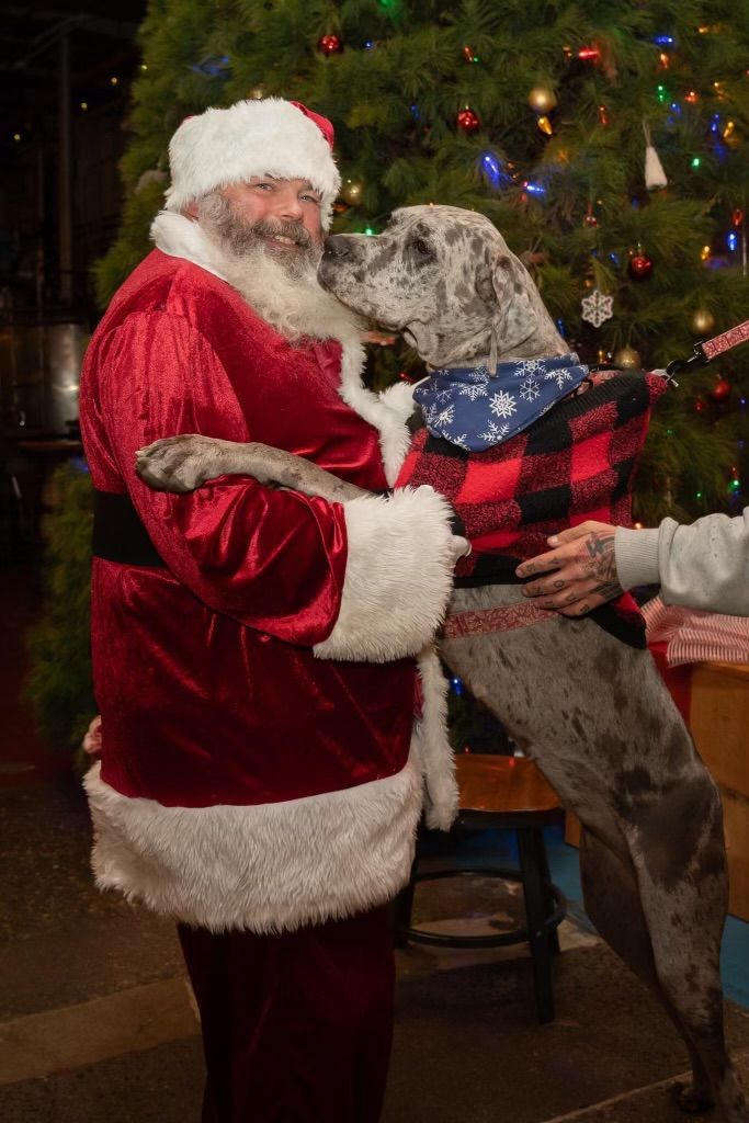 Santa Claus & Brewery Paws