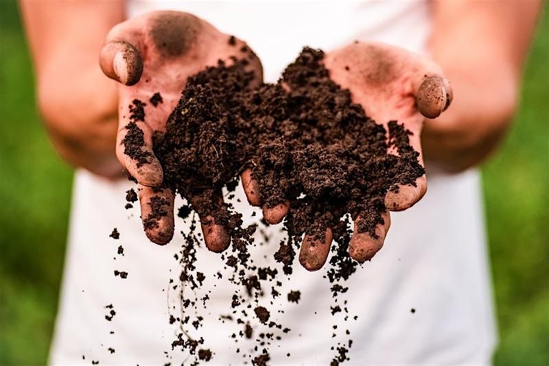 Soil Amendments: What and When