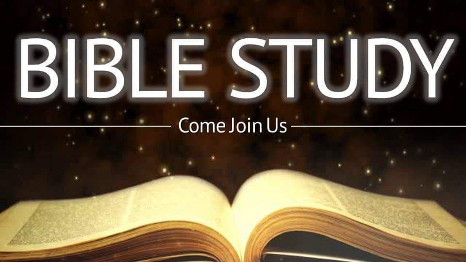 Connection Bible Study 