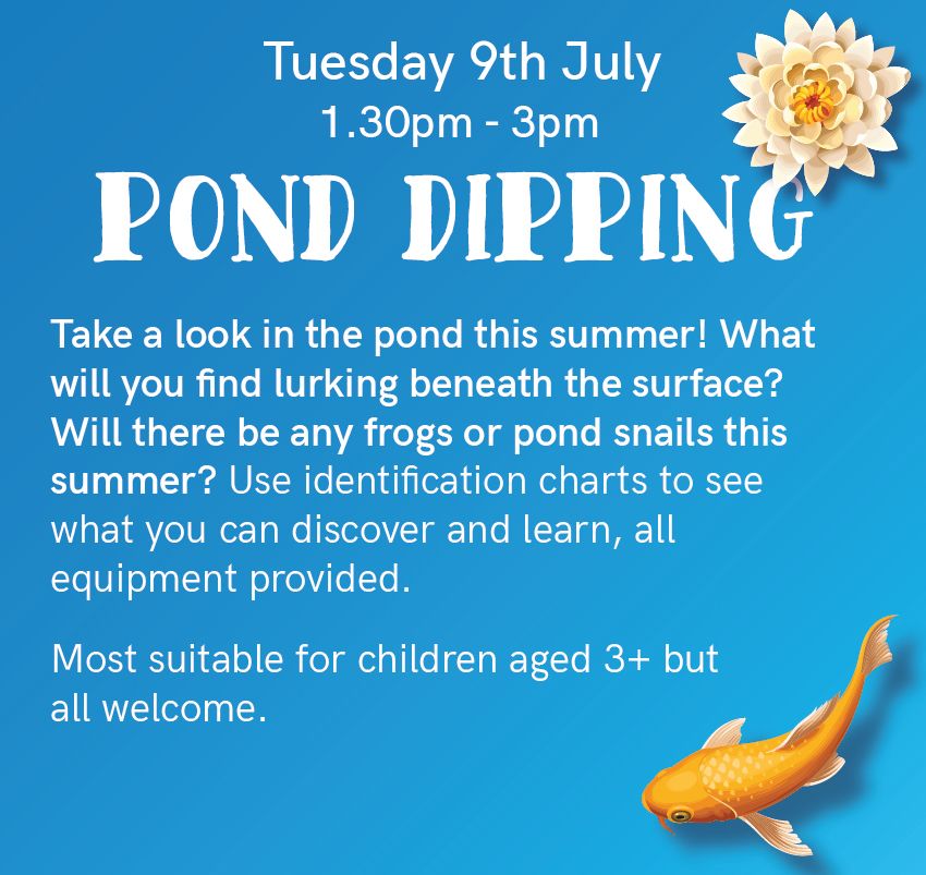 Pond Dipping - Super Summer Fun!