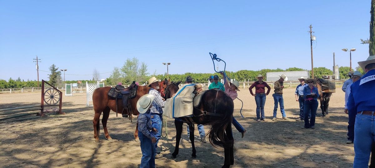 Blossom Trail Fall Classic Mule & Donkey Show