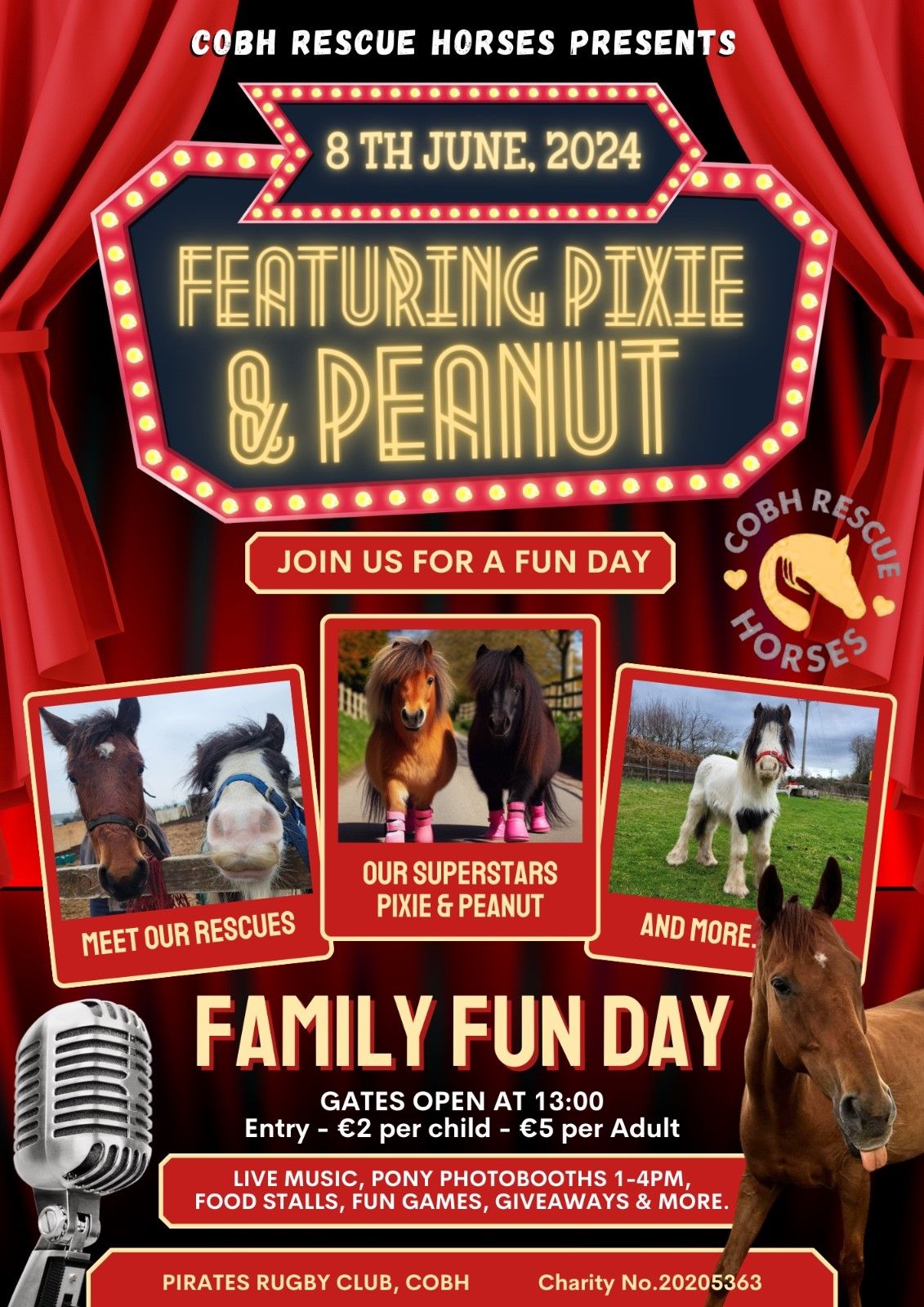 Cobh Rescue Horses Family Fun Day 8th June