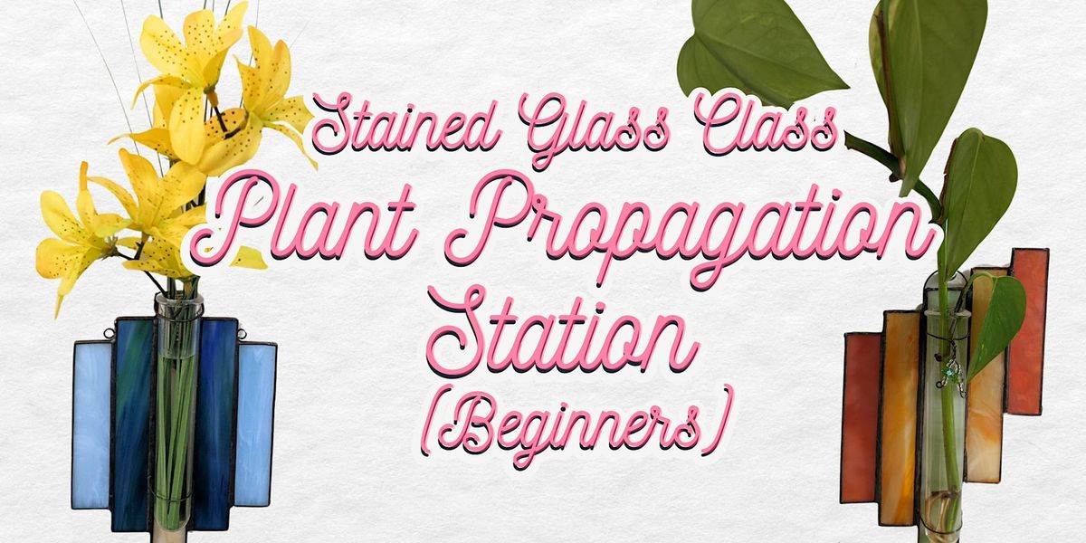 Stained Glass Class - Plant Propagation Station (Beginners)