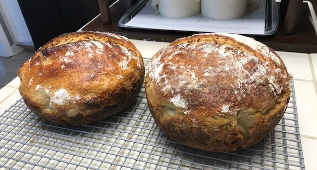 Sourdough - Starter to Finish