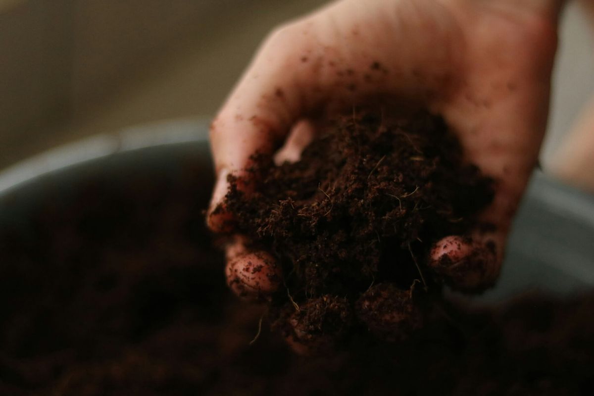 Preparing Your Soil for Spring 